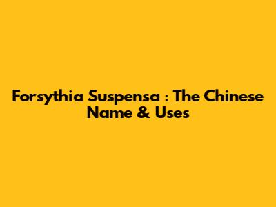 *Forsythia Suspensa*: The Chinese Name & Uses