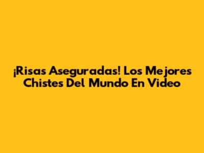 ¡Risas Aseguradas! Los Mejores Chistes Del Mundo En Video