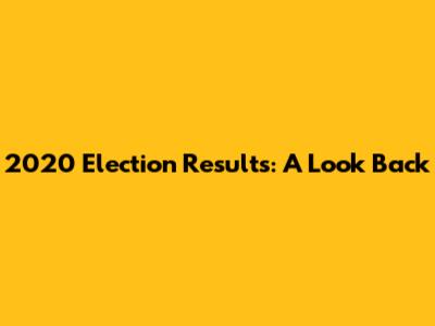 2020 Election Results: A Look Back