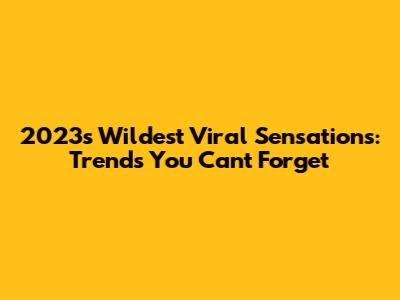 2023's Wildest Viral Sensations: Trends You Can't Forget