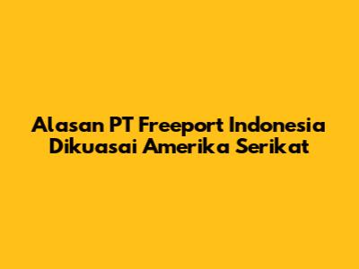 Alasan PT Freeport Indonesia Dikuasai Amerika Serikat