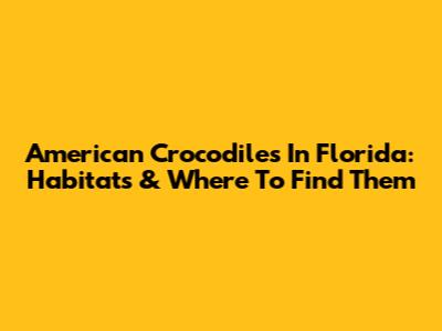American Crocodiles In Florida: Habitats & Where To Find Them