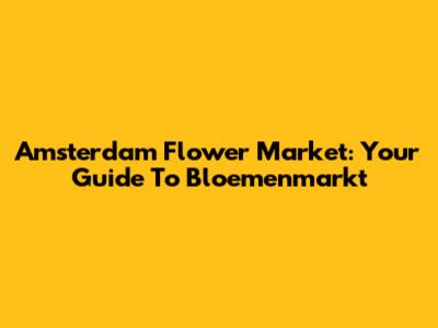 Amsterdam Flower Market: Your Guide To Bloemenmarkt