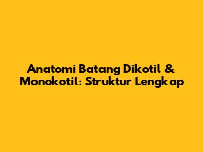 Anatomi Batang Dikotil & Monokotil: Struktur Lengkap