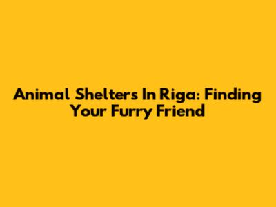 Animal Shelters In Riga: Finding Your Furry Friend