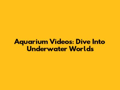 Aquarium Videos: Dive Into Underwater Worlds