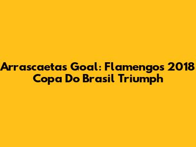 Arrascaeta's Goal: Flamengo's 2018 Copa Do Brasil Triumph
