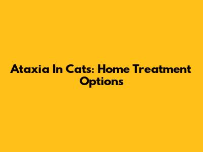 Ataxia In Cats: Home Treatment Options