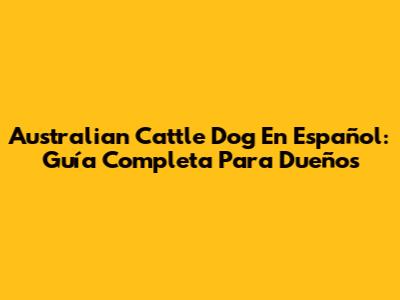 Australian Cattle Dog En Español: Guía Completa Para Dueños