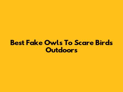 Best Fake Owls To Scare Birds Outdoors