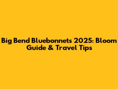 Big Bend Bluebonnets 2025: Bloom Guide & Travel Tips