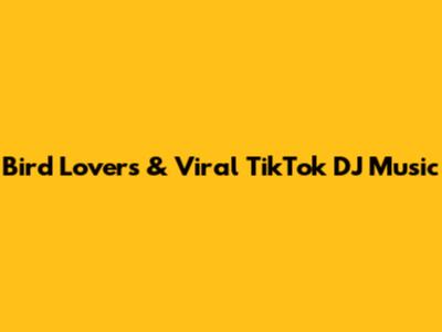 Bird Lovers & Viral TikTok DJ Music