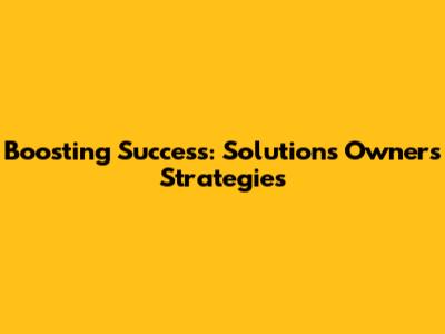 Boosting Success: Solutions Owners' Strategies