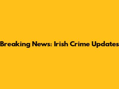 Breaking News: Irish Crime Updates