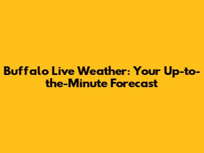 Buffalo Live Weather: Your Up-to-the-Minute Forecast