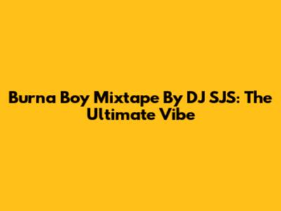 Burna Boy Mixtape By DJ SJS: The Ultimate Vibe