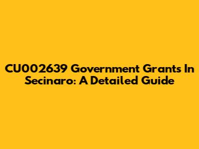 CU002639 Government Grants In Secinaro: A Detailed Guide