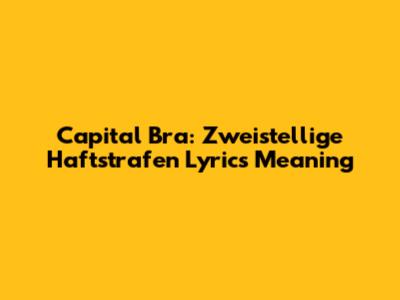Capital Bra: Zweistellige Haftstrafen Lyrics Meaning
