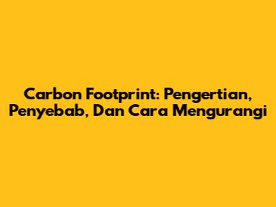 Carbon Footprint: Pengertian, Penyebab, Dan Cara Mengurangi