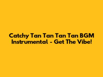 Catchy 'Tan Tan Tan Tan' BGM Instrumental - Get The Vibe!