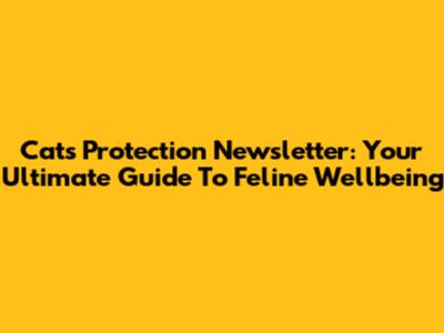 Cats Protection Newsletter: Your Ultimate Guide To Feline Wellbeing