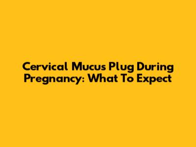 Cervical Mucus Plug During Pregnancy: What To Expect