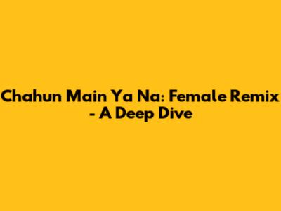 Chahun Main Ya Na: Female Remix - A Deep Dive