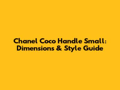 Chanel Coco Handle Small: Dimensions & Style Guide