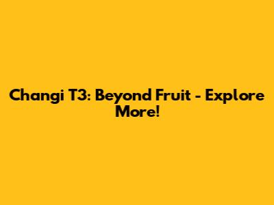 Changi T3: Beyond Fruit - Explore More!