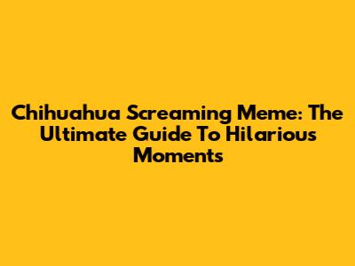 Chihuahua Screaming Meme: The Ultimate Guide To Hilarious Moments