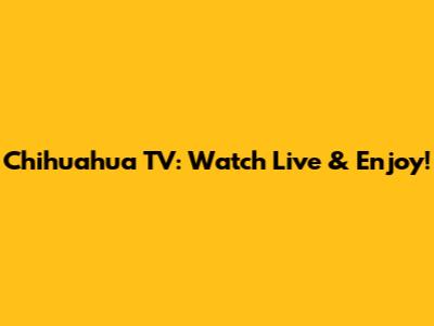 Chihuahua TV: Watch Live & Enjoy!