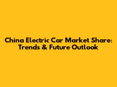China Electric Car Market Share: Trends & Future Outlook