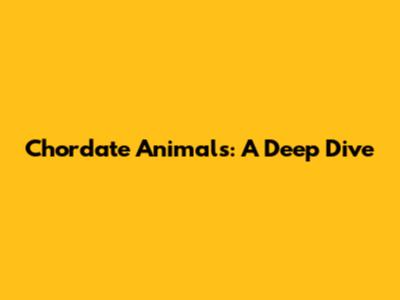 Chordate Animals: A Deep Dive