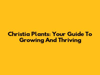 Christia Plants: Your Guide To Growing And Thriving