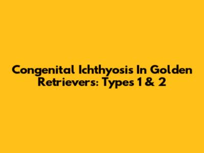 Congenital Ichthyosis In Golden Retrievers: Types 1 & 2