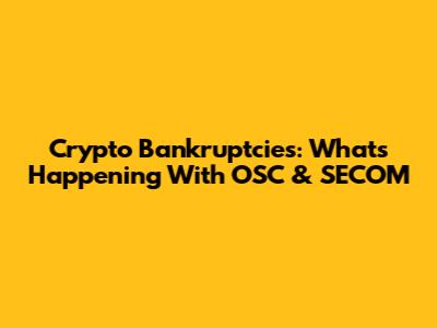 Crypto Bankruptcies: What's Happening With OSC & SECOM