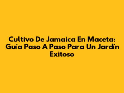 Cultivo De Jamaica En Maceta: Guía Paso A Paso Para Un Jardín Exitoso