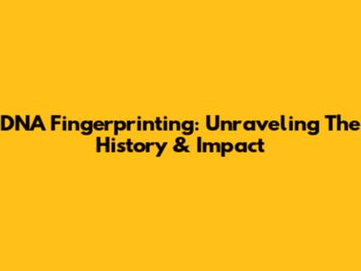 DNA Fingerprinting: Unraveling The History & Impact