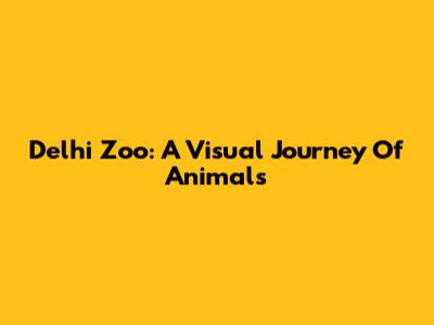 Delhi Zoo: A Visual Journey Of Animals