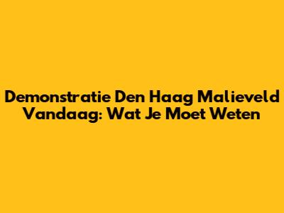 Demonstratie Den Haag Malieveld Vandaag: Wat Je Moet Weten
