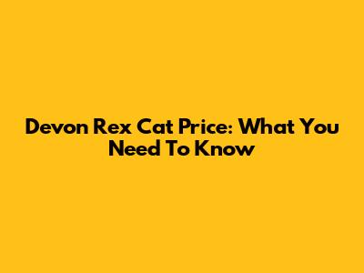 Devon Rex Cat Price: What You Need To Know