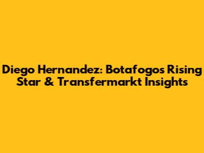 Diego Hernandez: Botafogo's Rising Star & Transfermarkt Insights