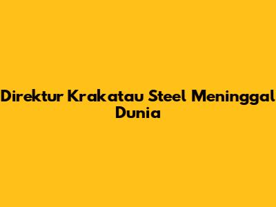 Direktur Krakatau Steel Meninggal Dunia