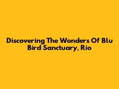 Discovering The Wonders Of Blu Bird Sanctuary, Rio