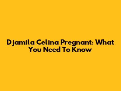 Djamila Celina Pregnant: What You Need To Know
