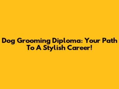 Dog Grooming Diploma: Your Path To A Stylish Career!