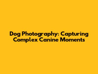 Dog Photography: Capturing Complex Canine Moments