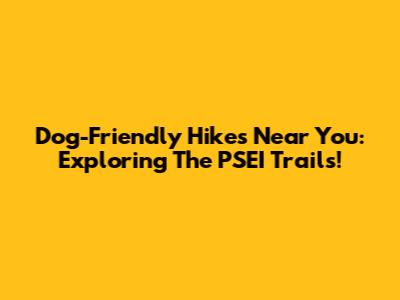 Dog-Friendly Hikes Near You: Exploring The PSEI Trails!
