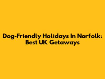 Dog-Friendly Holidays In Norfolk: Best UK Getaways