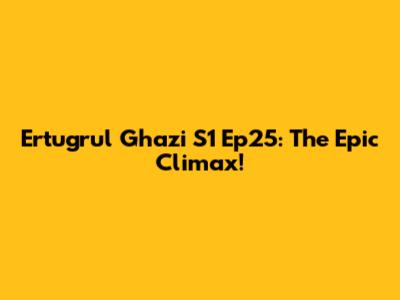 Ertugrul Ghazi S1 Ep25: The Epic Climax!